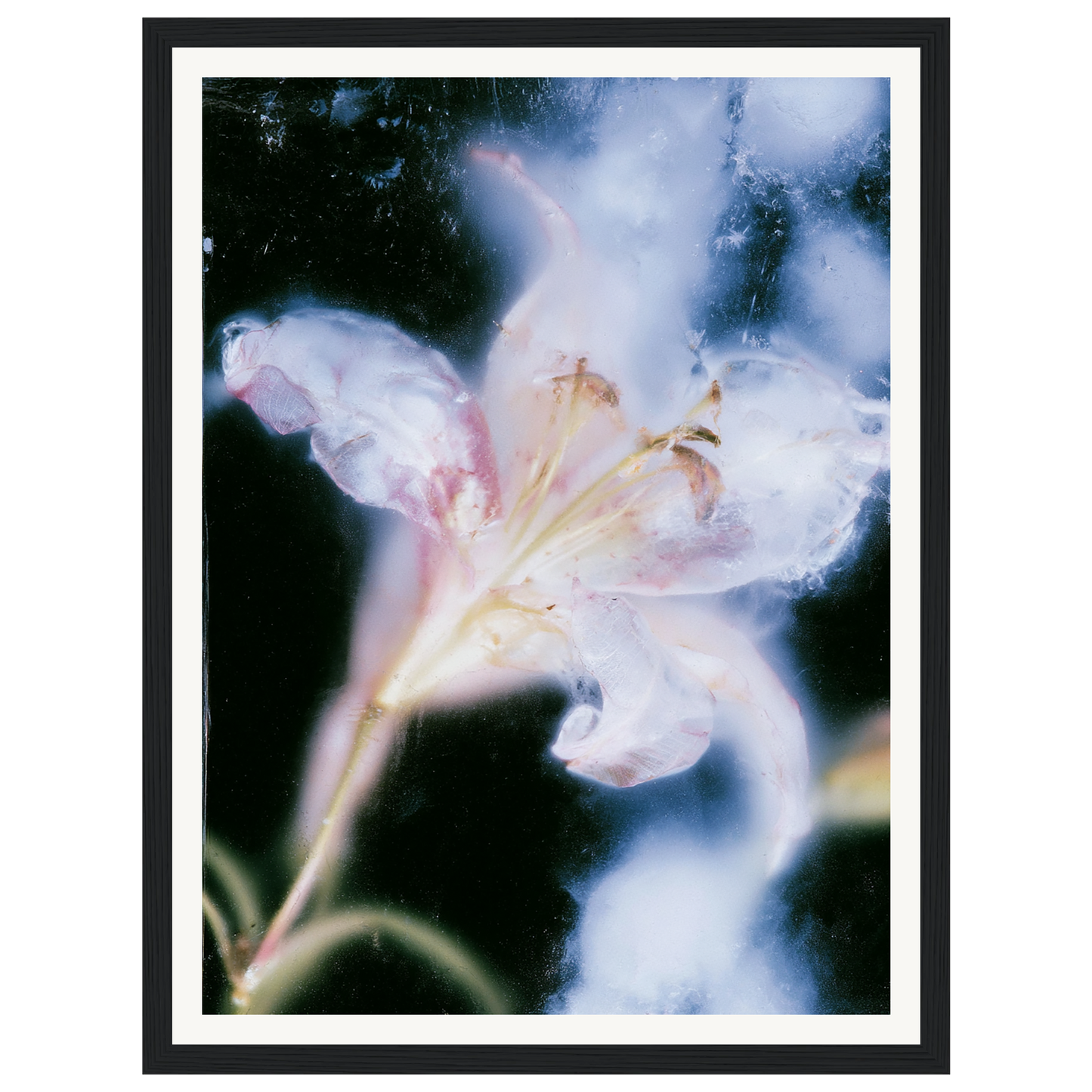 Soft Light — s0_framed_black