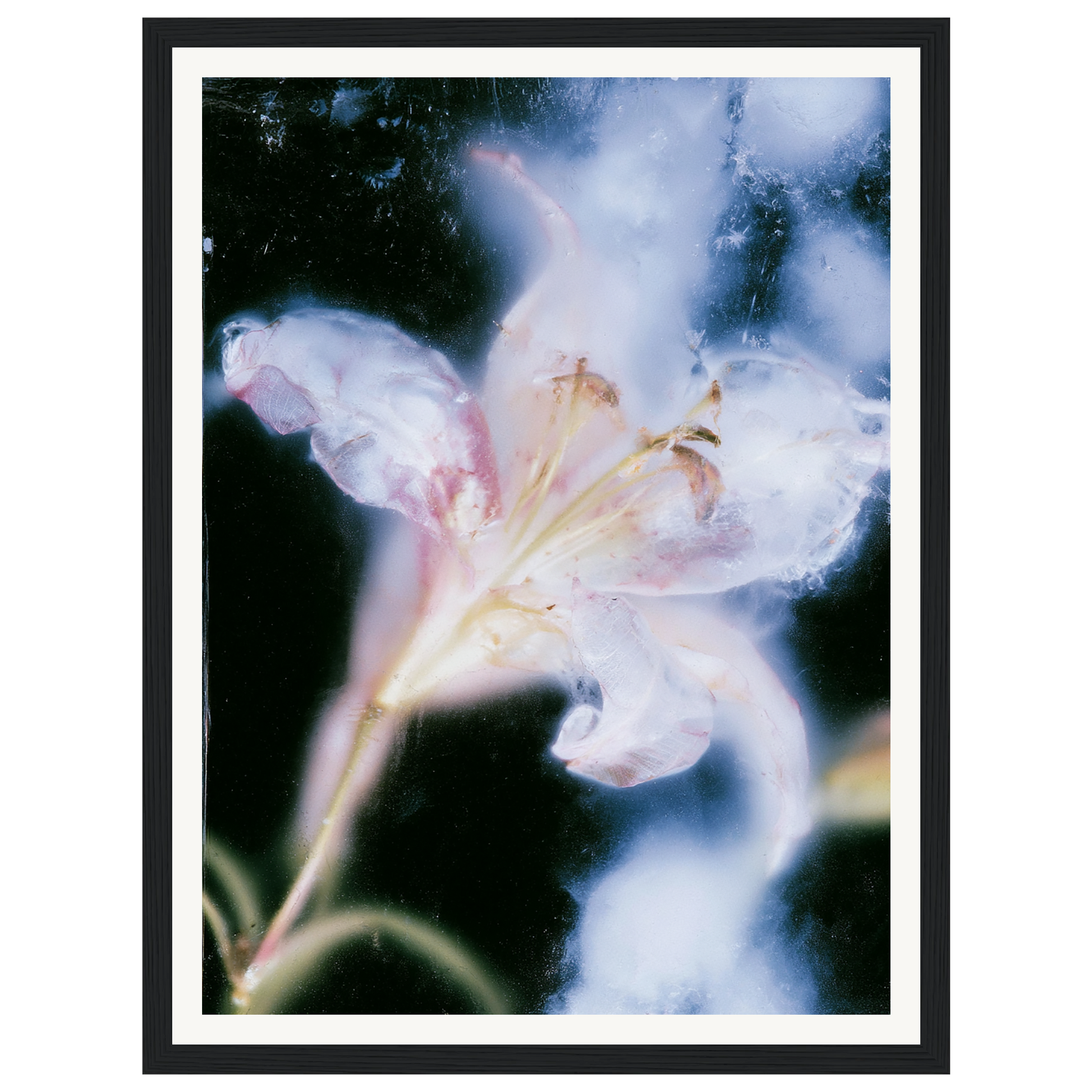 Soft Light — s0_framed_black
