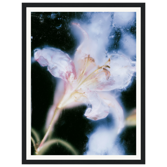 Soft Light — s0_framed_black