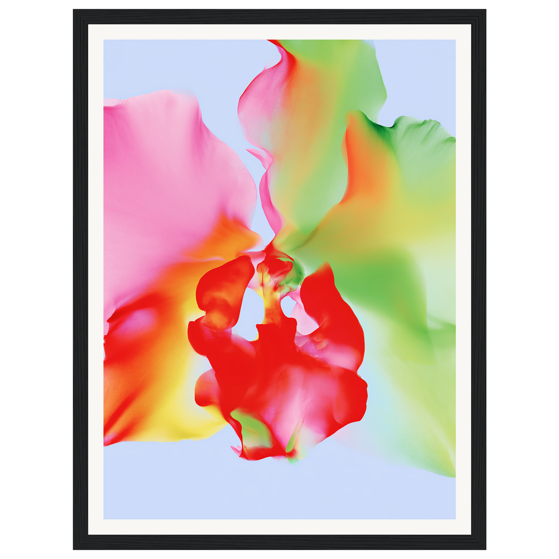 Soft Chaos — s0_framed_black