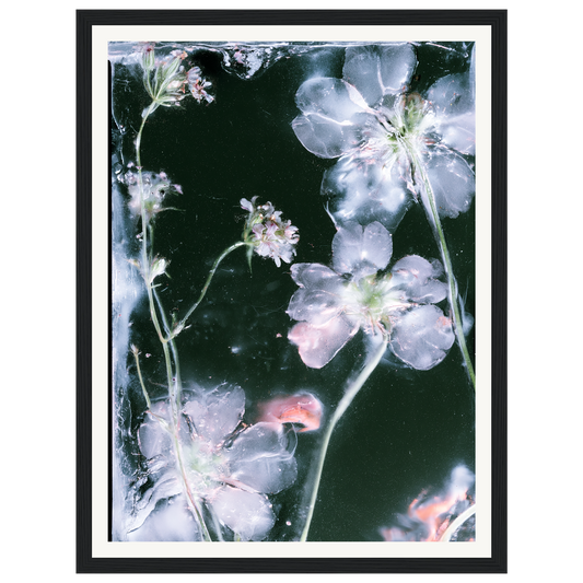 Midnight Bloom — s0_framed_black