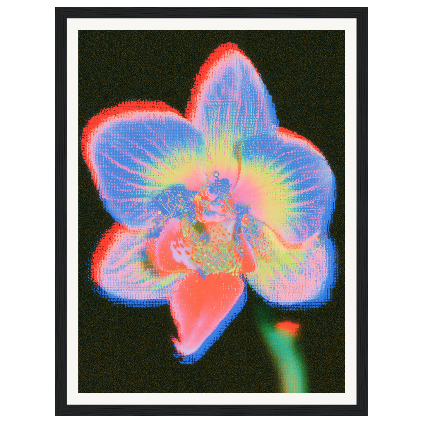 Radiant Orchid — s0_framed_black