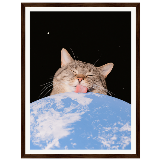 Cosmic Cuddle — s0_framed_dark_wood