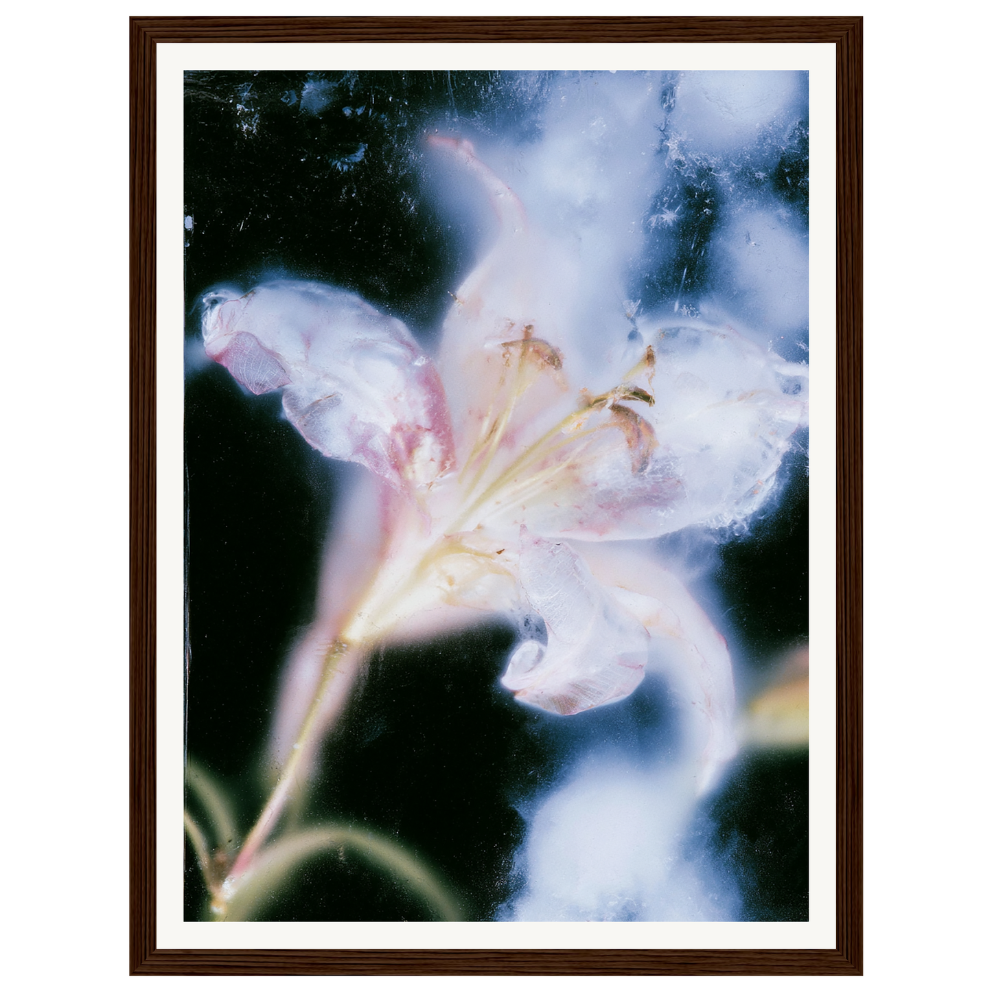 Soft Light — s0_framed_dark_wood