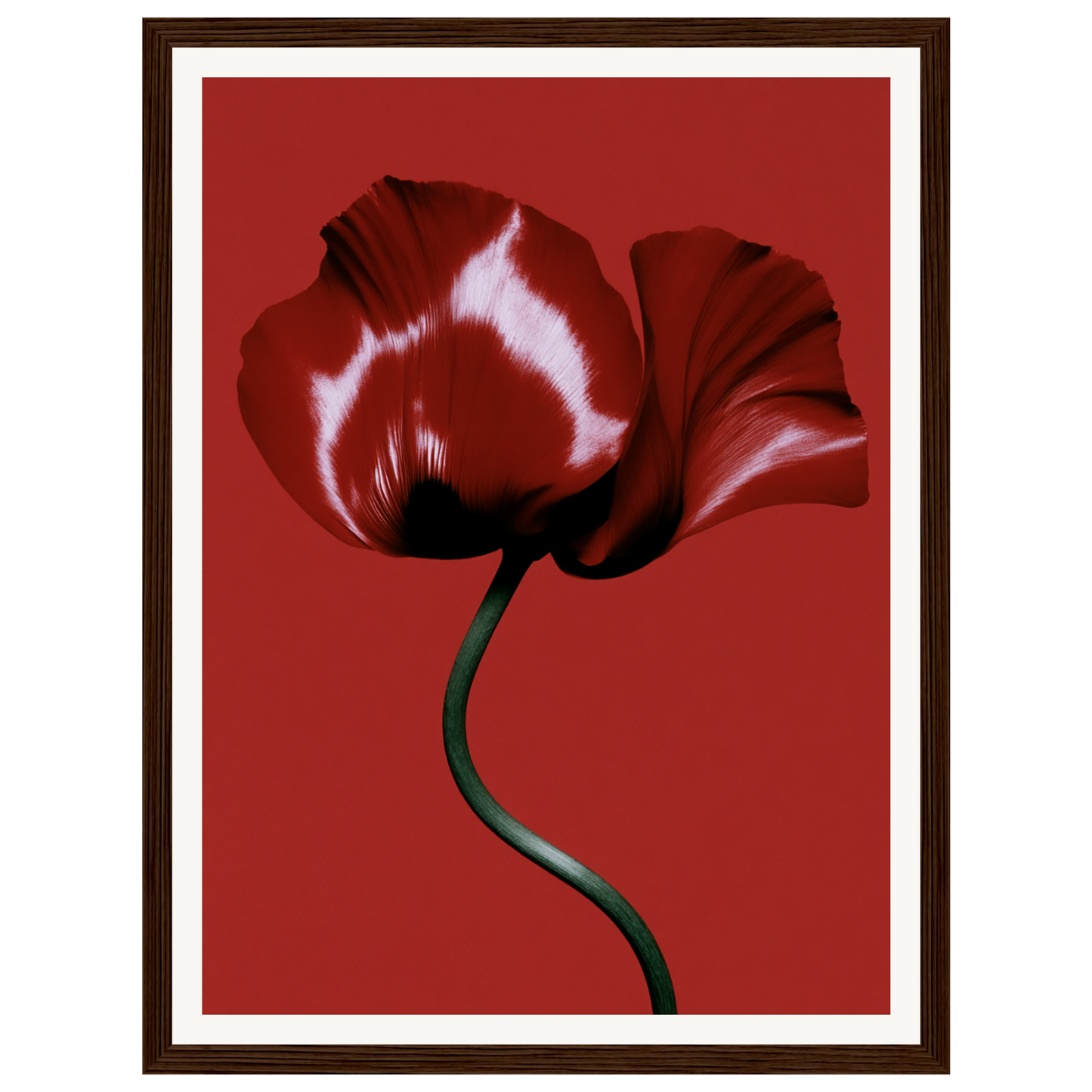 Velvet Poppy — s0_framed_dark_wood