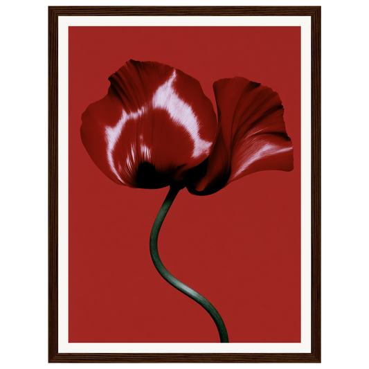 Velvet Poppy — s0_framed_dark_wood