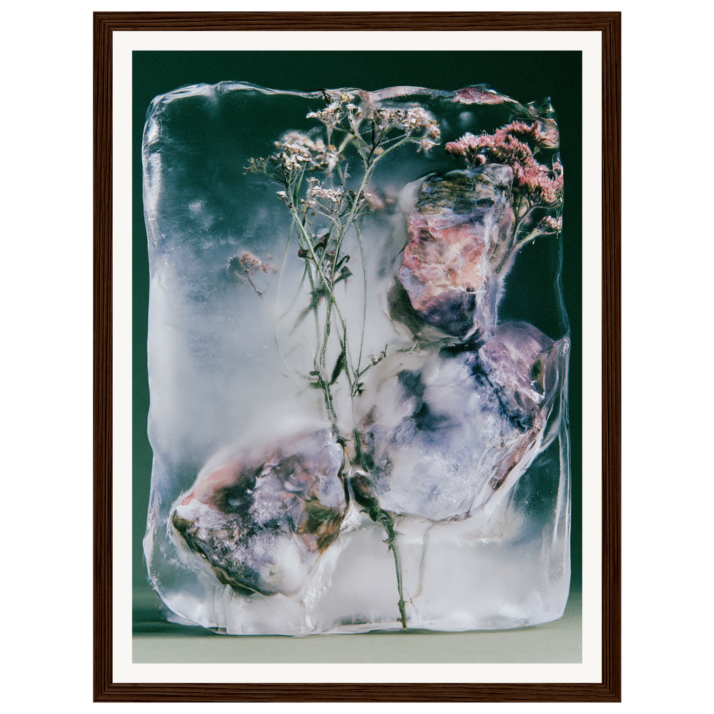 Winter Bloom — s0_framed_dark_wood