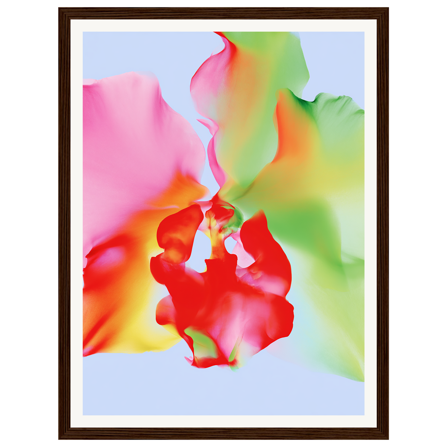 Soft Chaos — s0_framed_dark_wood