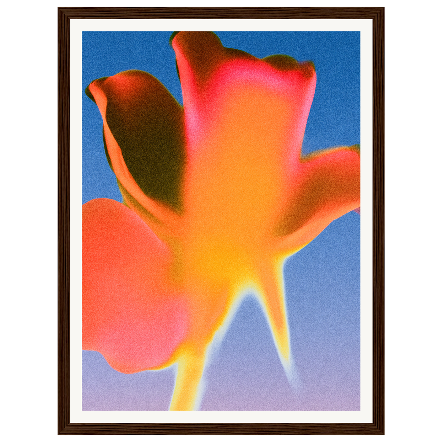 Sunset Glow — s0_framed_dark_wood
