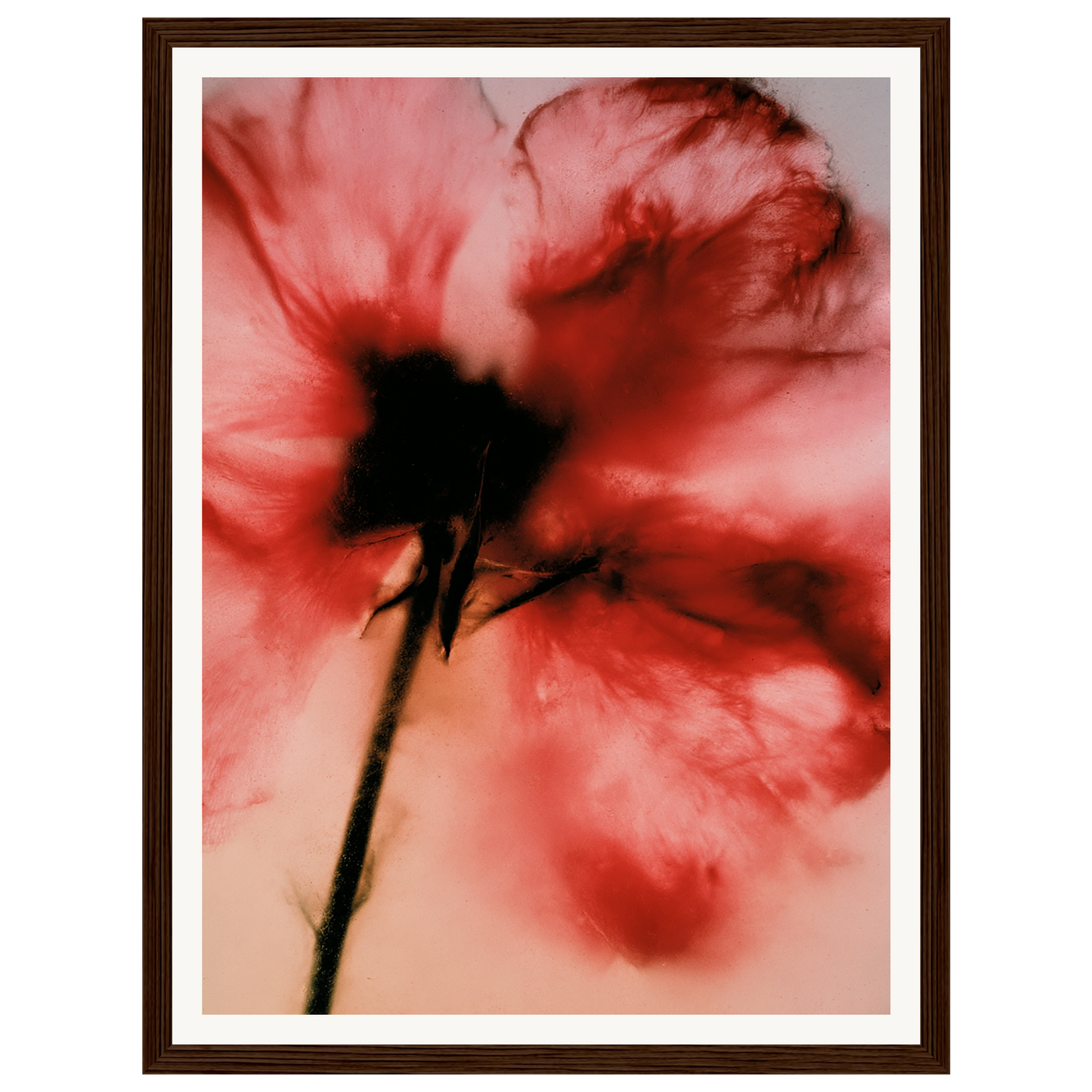 Crimson Whisper — s0_framed_dark_wood