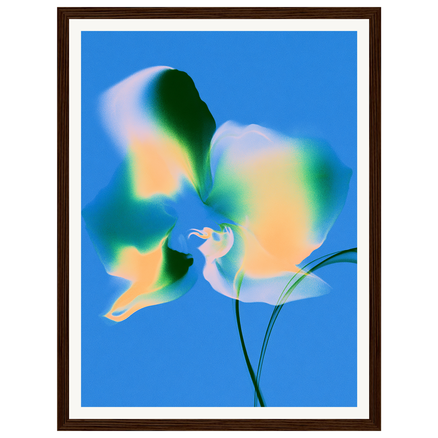 Floating Dream — s0_framed_dark_wood