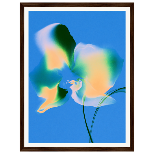Floating Dream — s0_framed_dark_wood