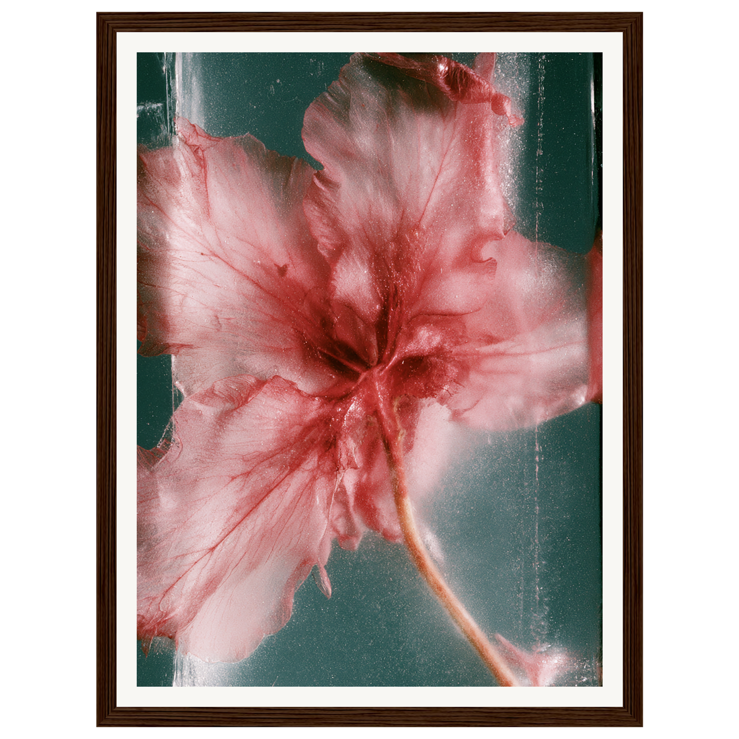 Wild Heart — s0_framed_dark_wood
