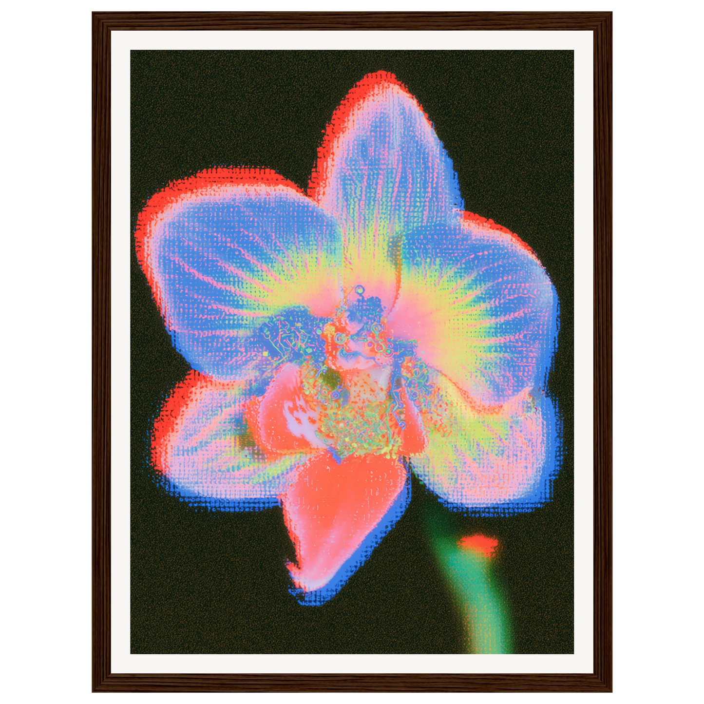 Radiant Orchid — s0_framed_dark_wood
