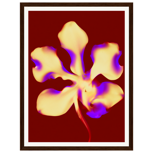 Golden Petal — s0_framed_dark_wood