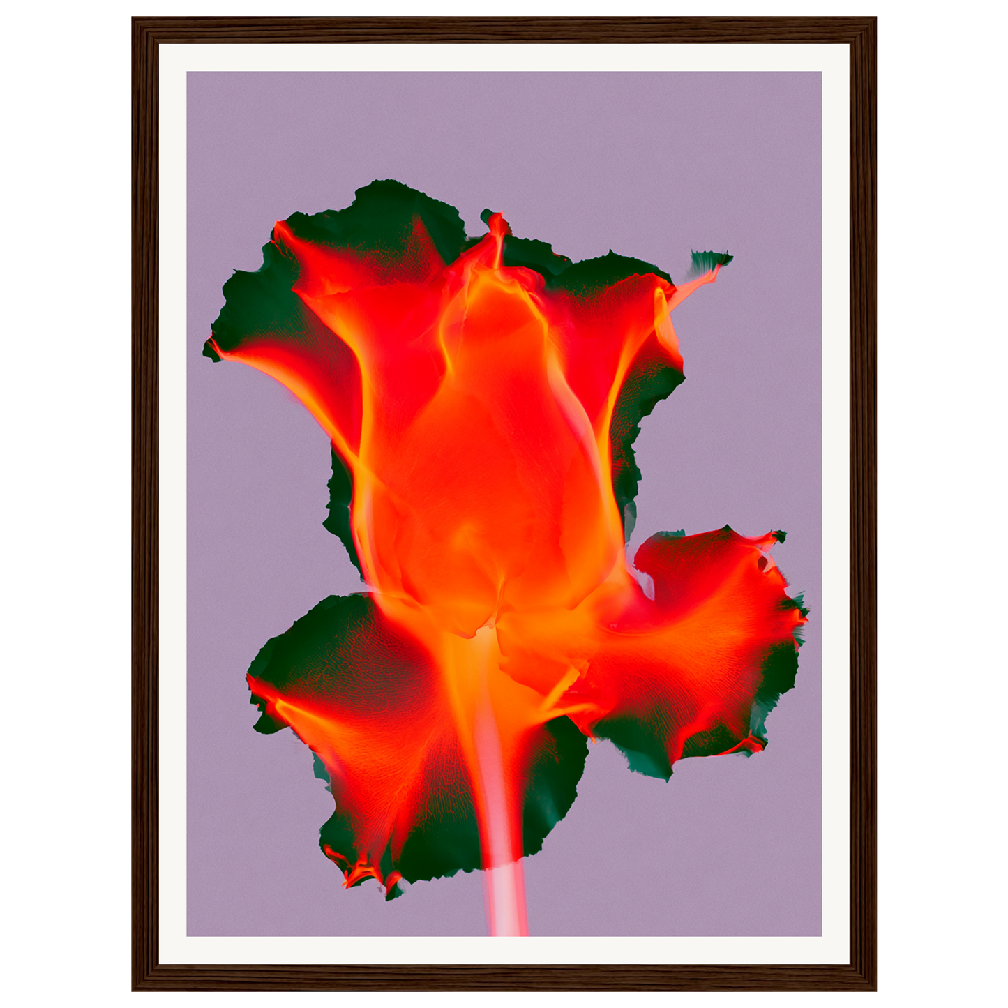 Ruby Glow — s0_framed_dark_wood