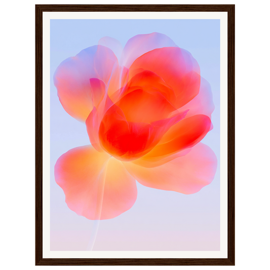 Gentle Bloom — s0_framed_dark_wood