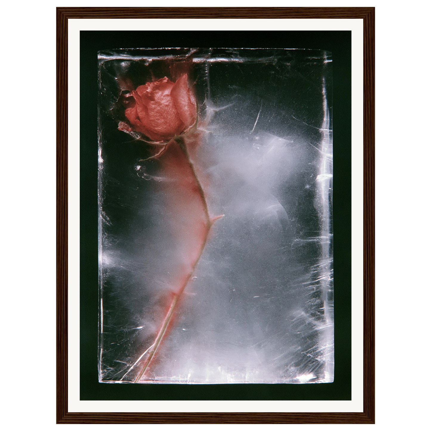 Quiet Fade — s0_framed_dark_wood