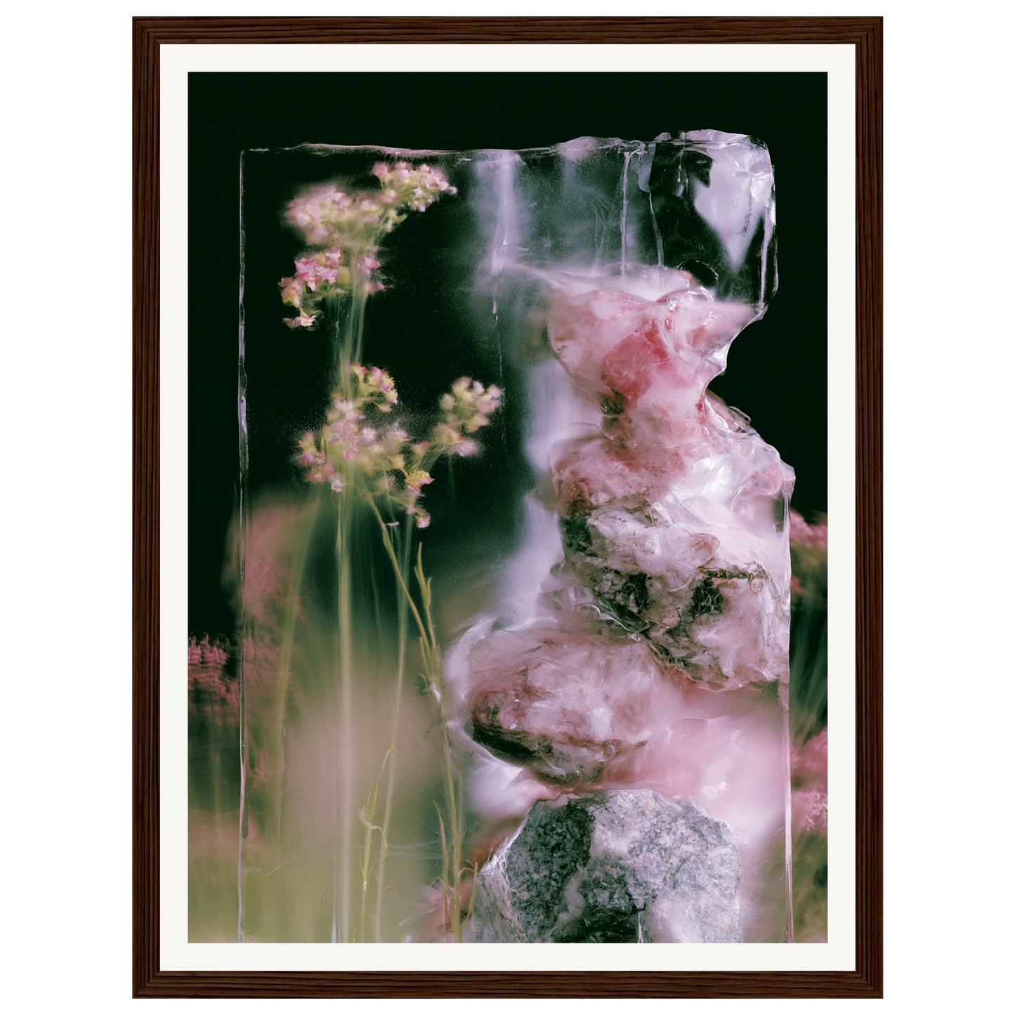 Frozen Whisper — s0_framed_dark_wood