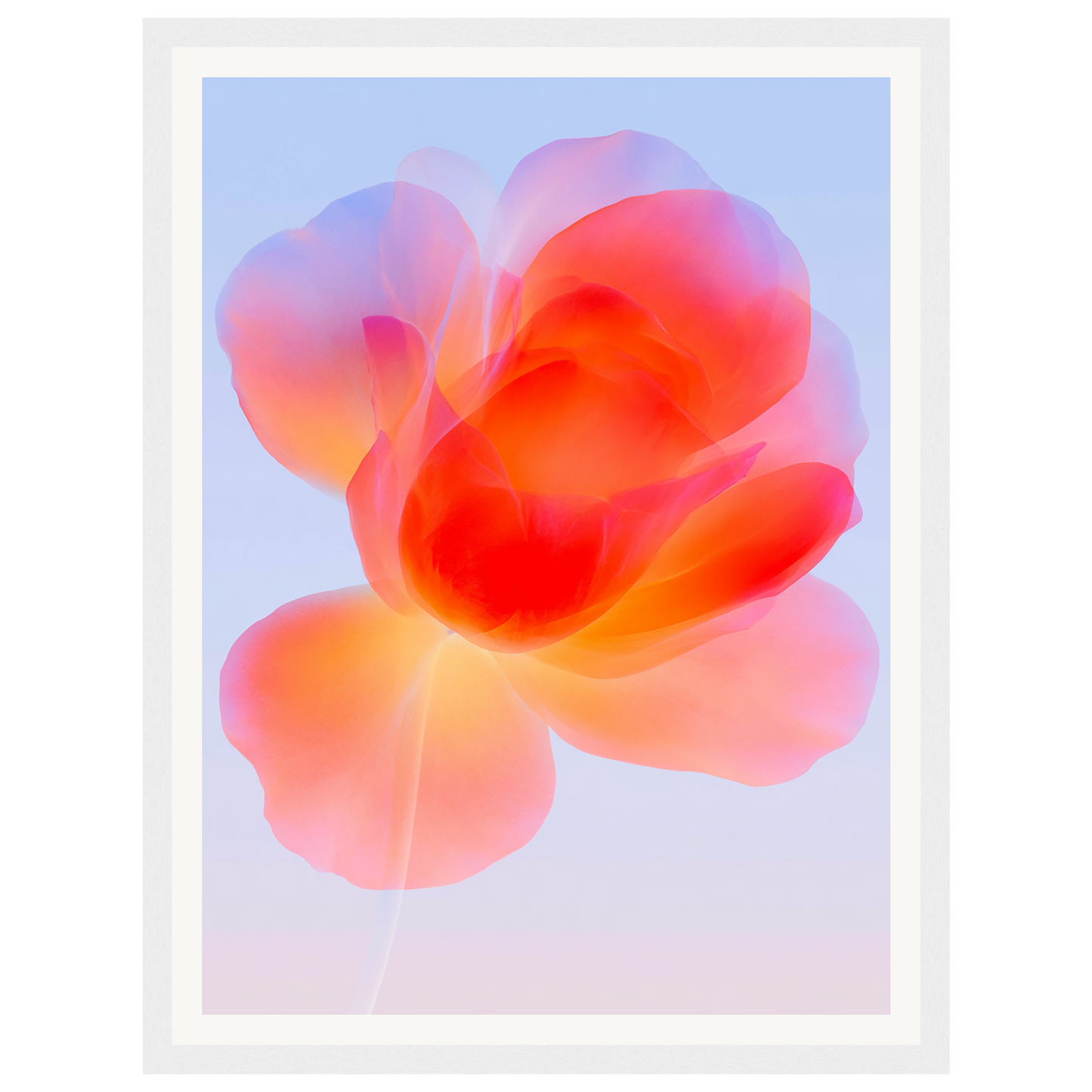 Gentle Bloom — s0_framed_white