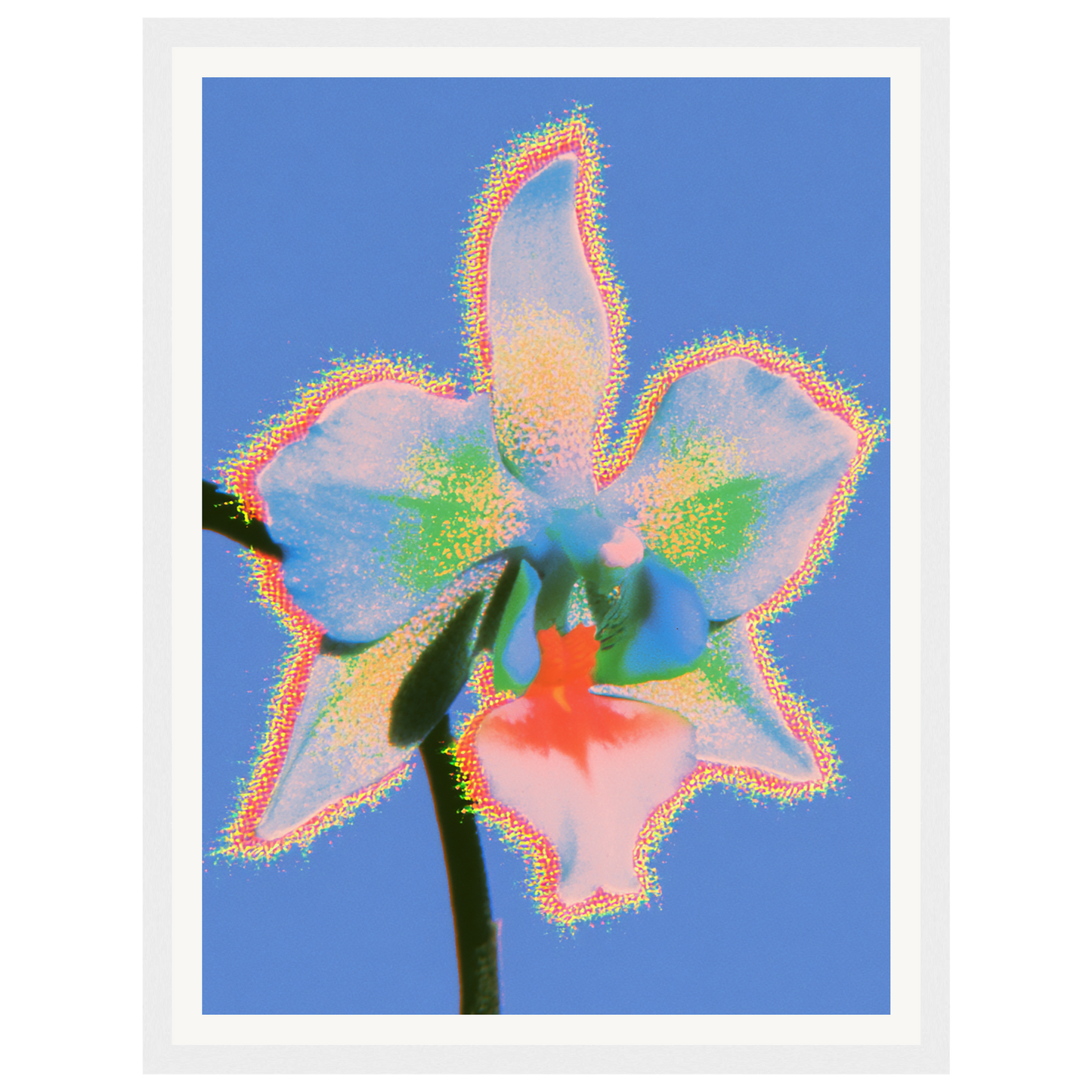 Pure Light — s0_framed_white