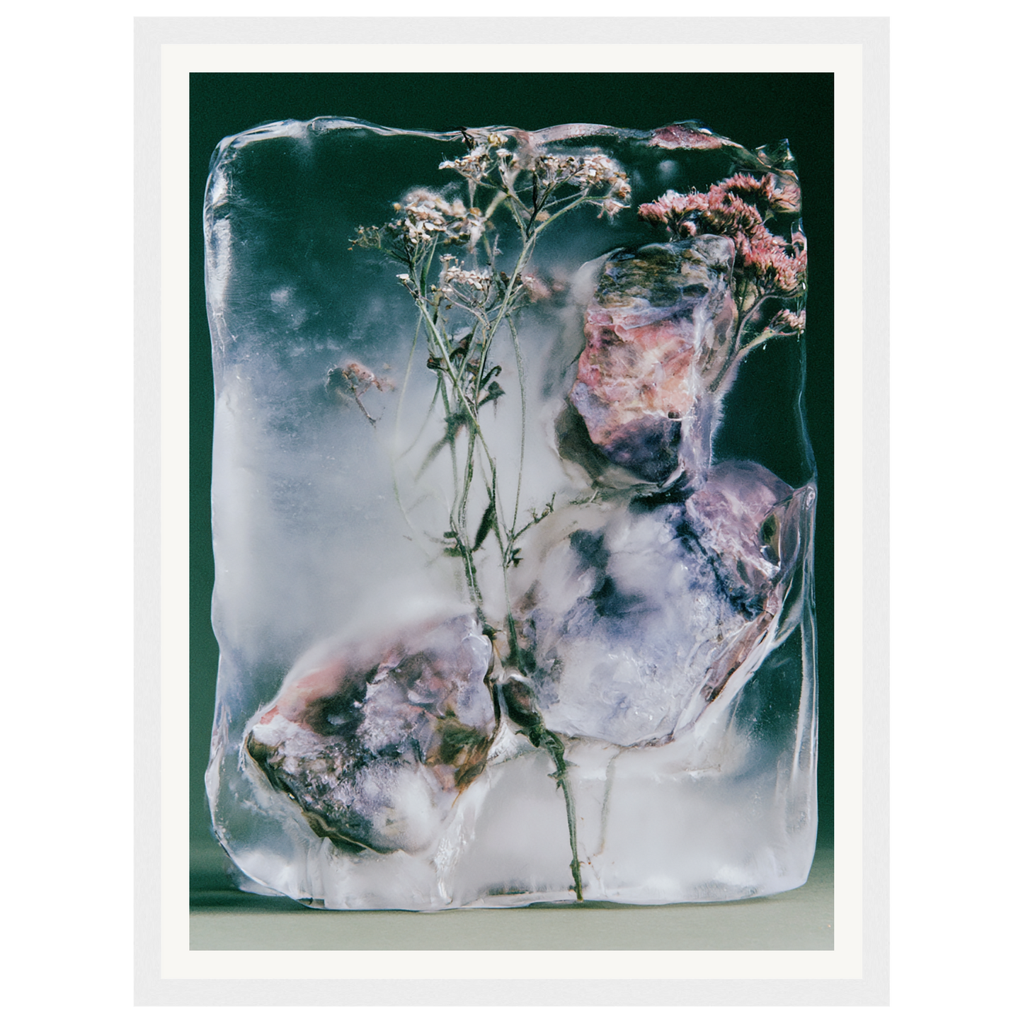 Winter Bloom — s0_framed_white