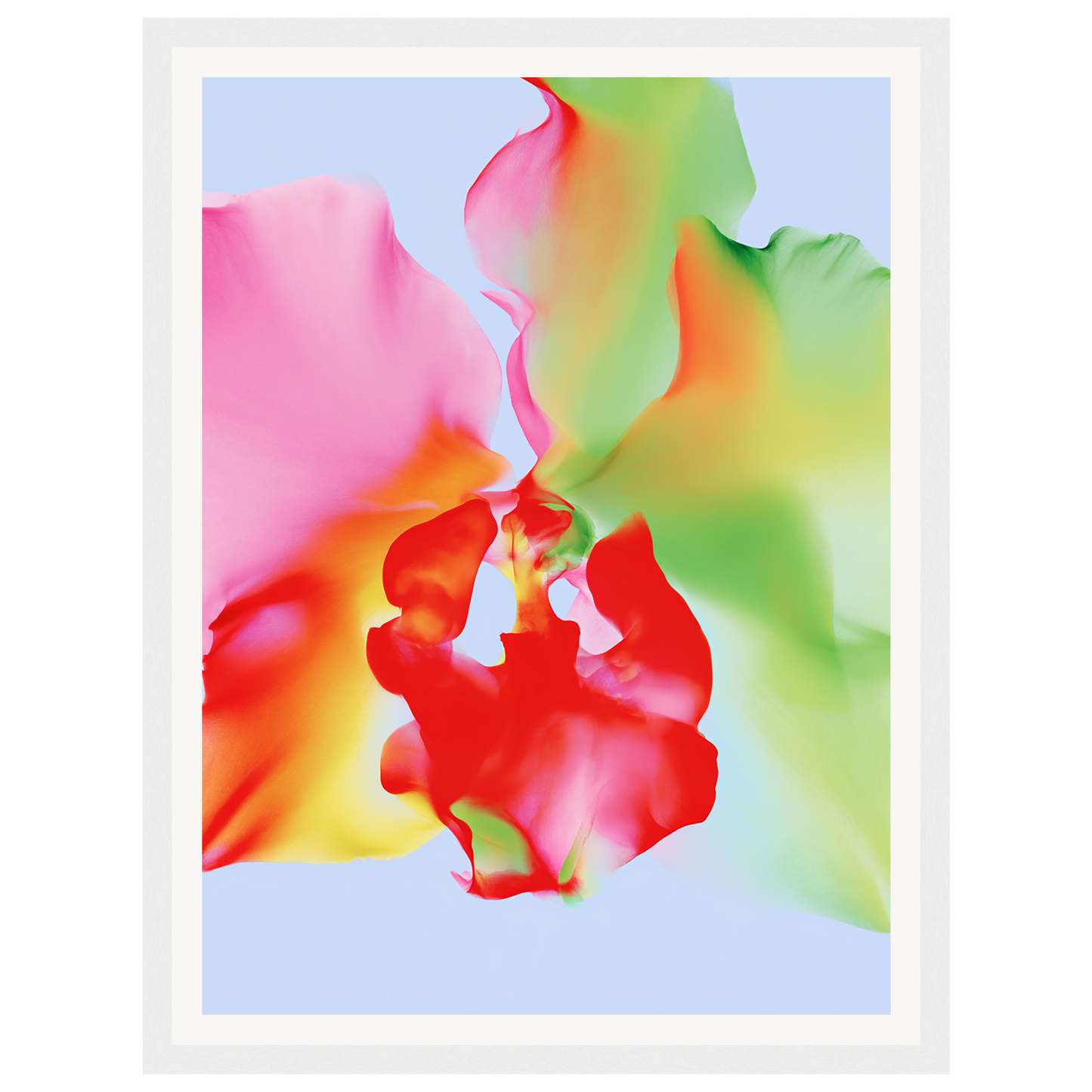 Soft Chaos — s0_framed_white