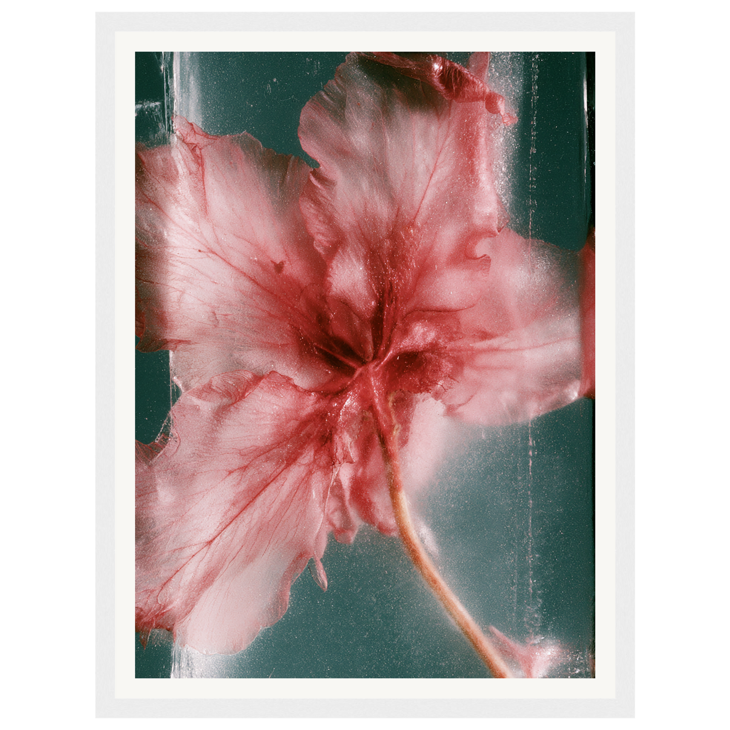 Wild Heart — s0_framed_white