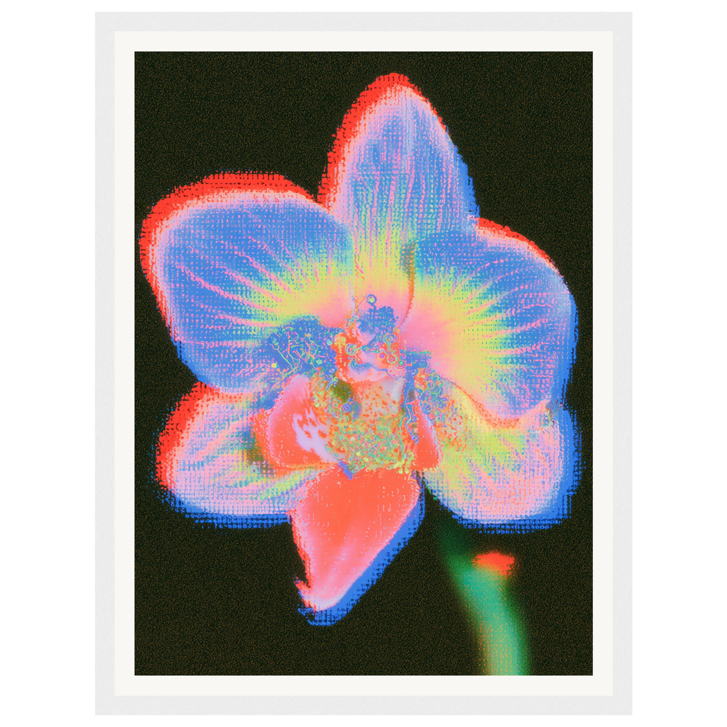 Radiant Orchid — s0_framed_white