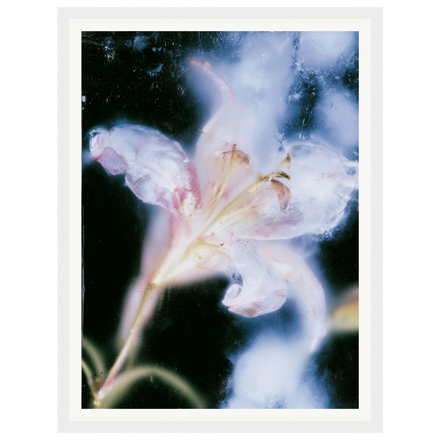 Soft Light — s0_framed_white