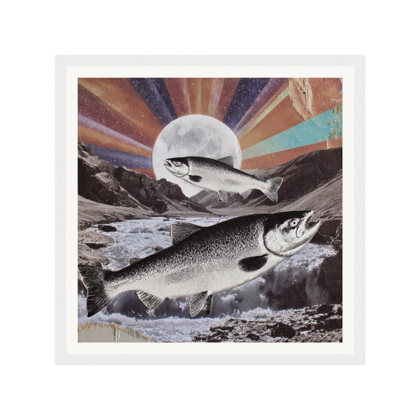 Wild Current — s0_framed_white