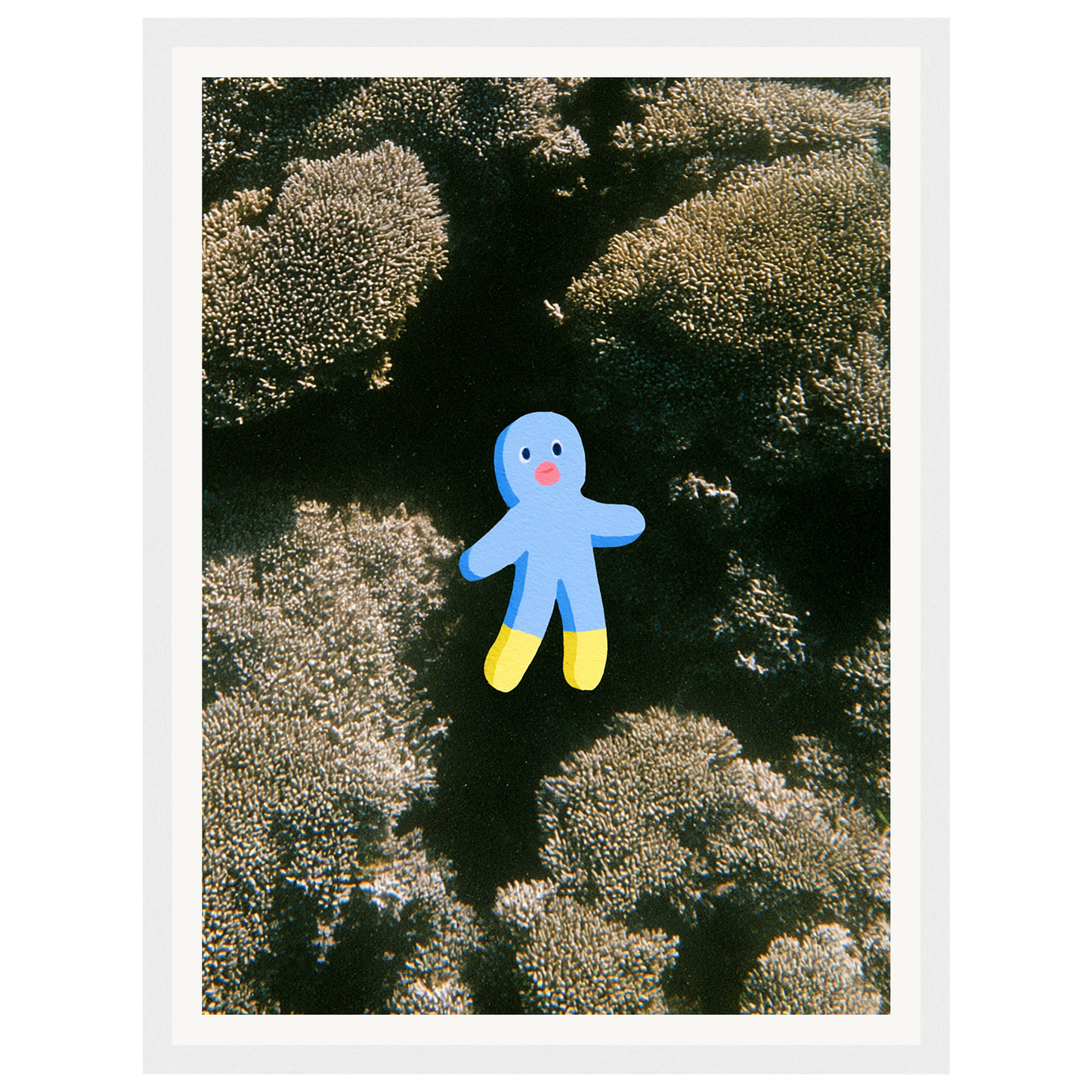 Ocean Wonder — s0_framed_white