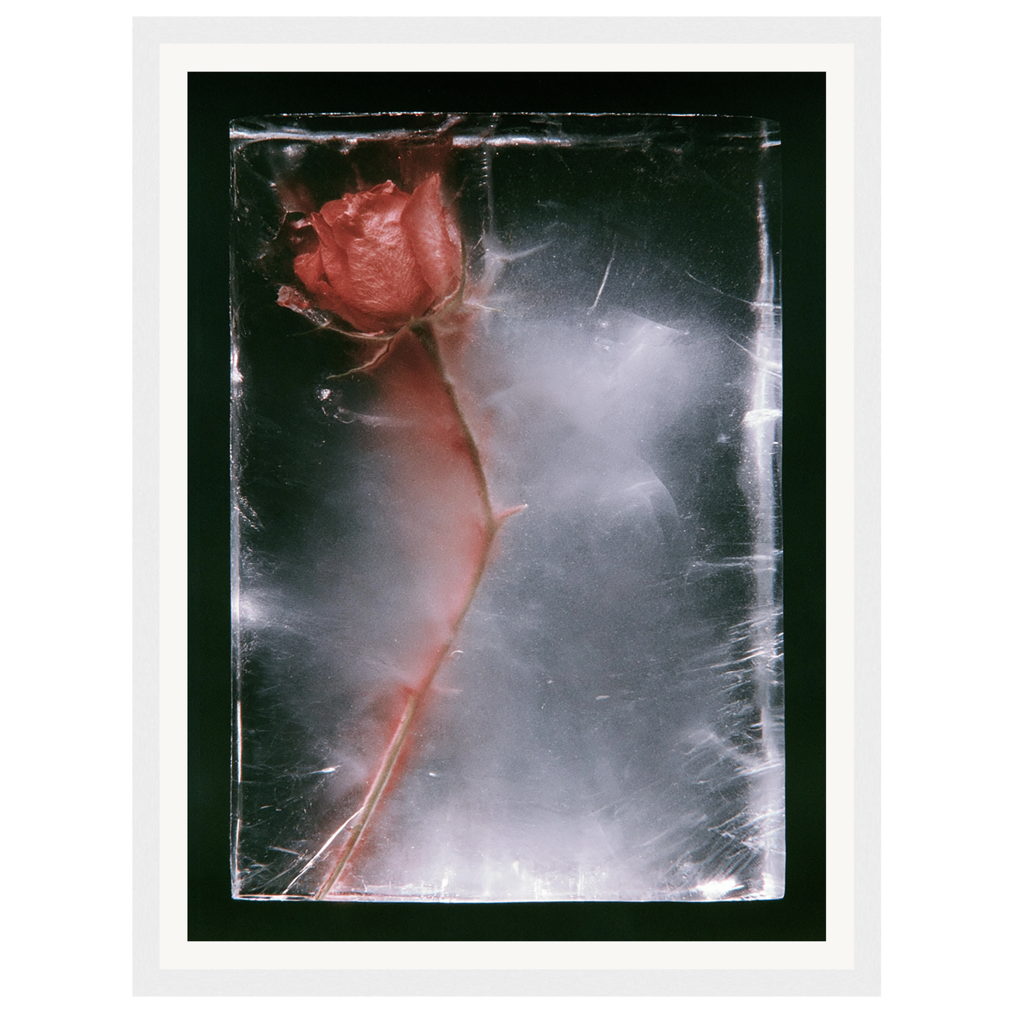 Quiet Fade — s0_framed_white