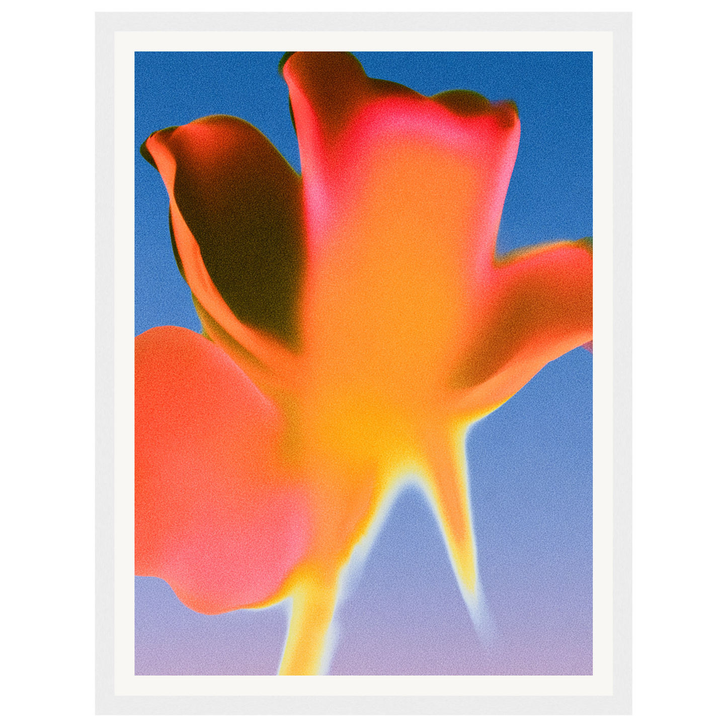 Sunset Glow — s0_framed_white