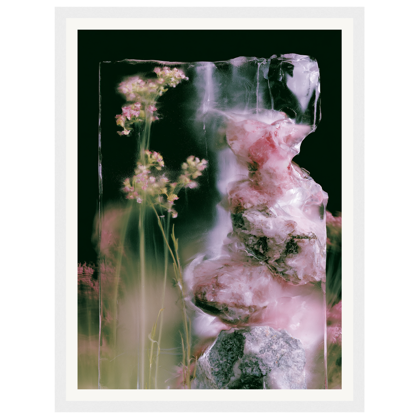 Frozen Whisper — s0_framed_white