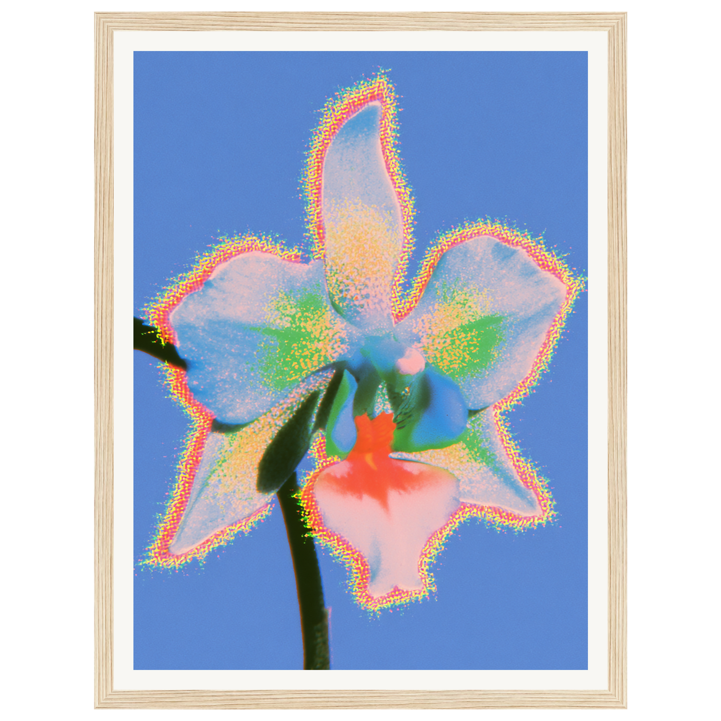 Pure Light — s0_framed_wood
