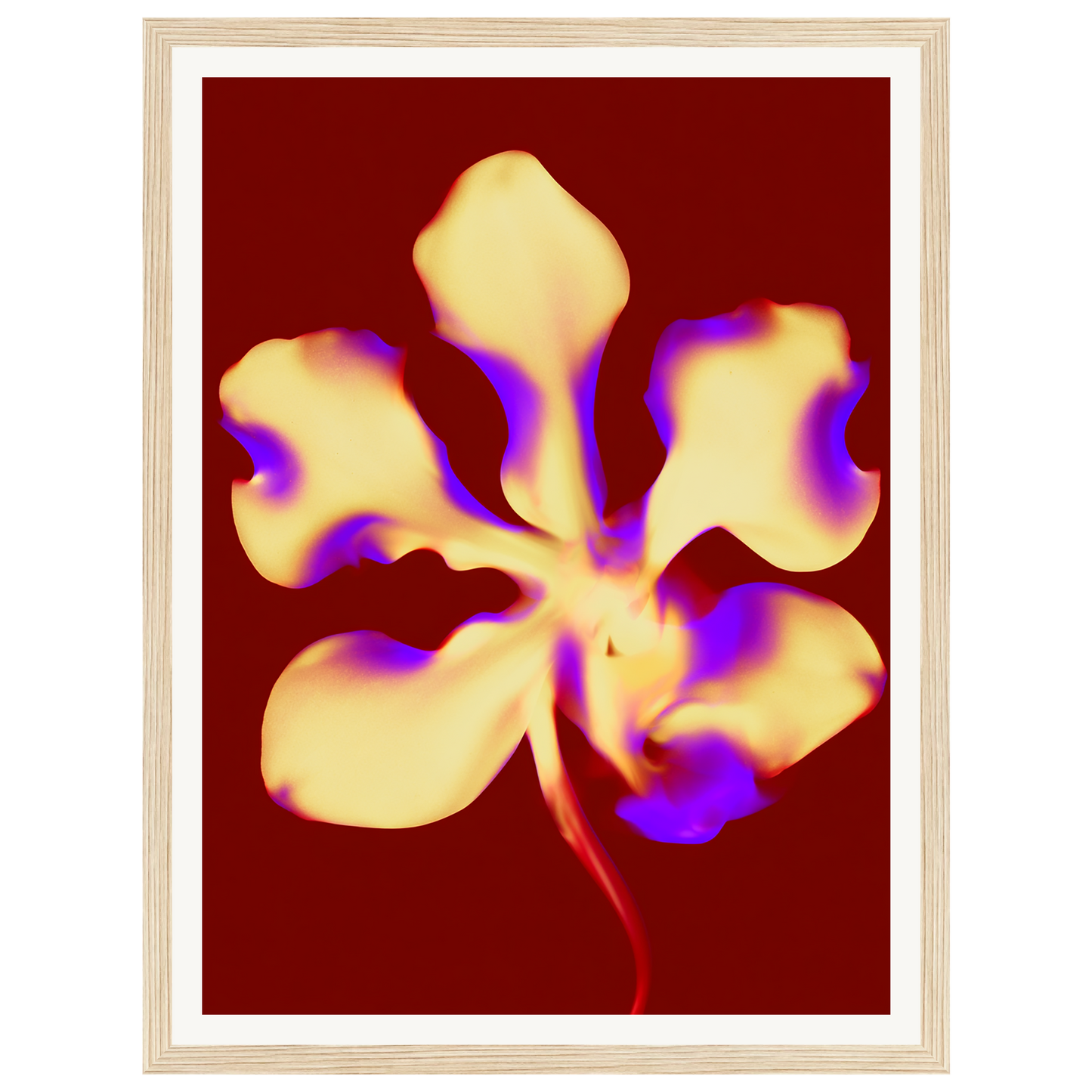 Golden Petal — s0_framed_wood