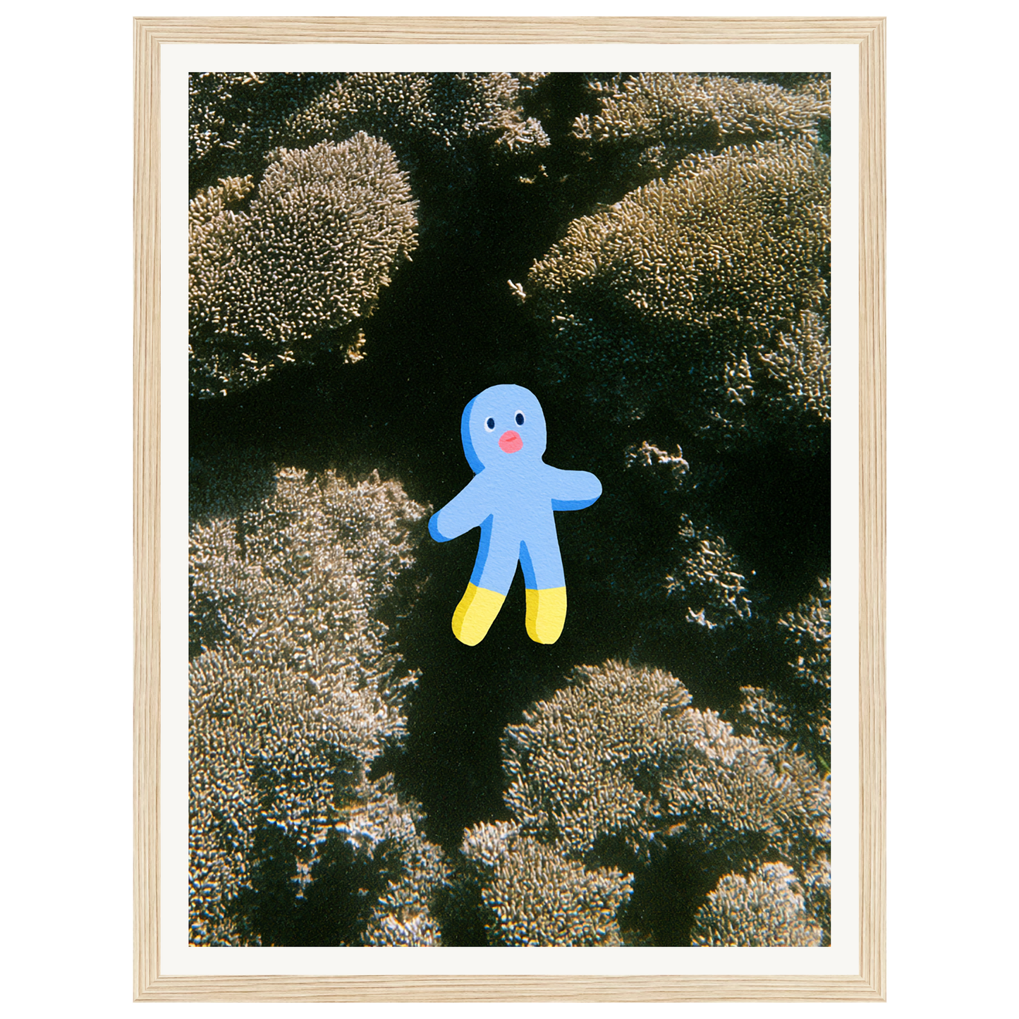 Ocean Wonder — s0_framed_wood