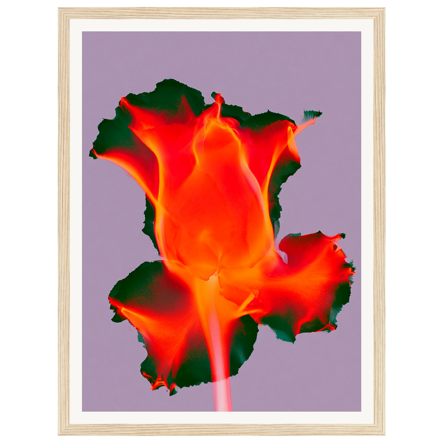 Ruby Glow — s0_framed_wood