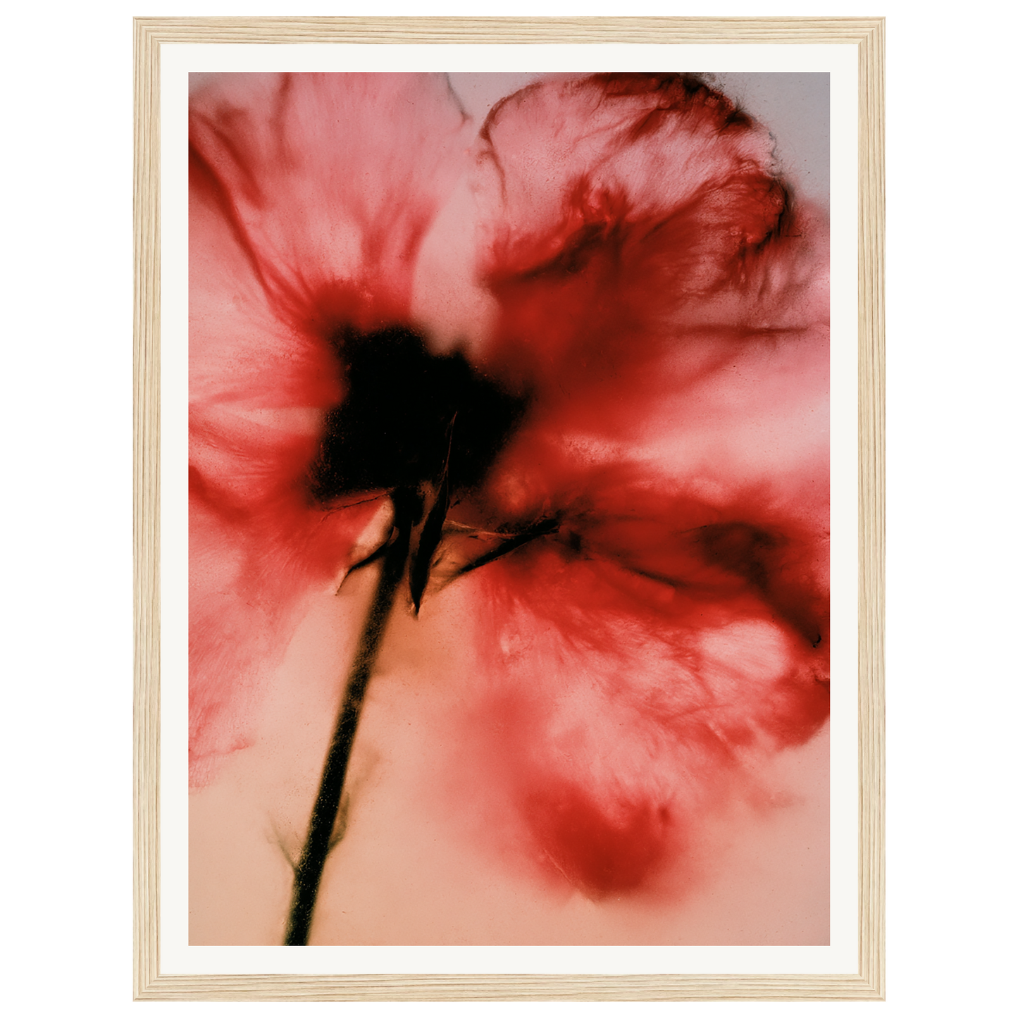 Crimson Whisper — s0_framed_wood