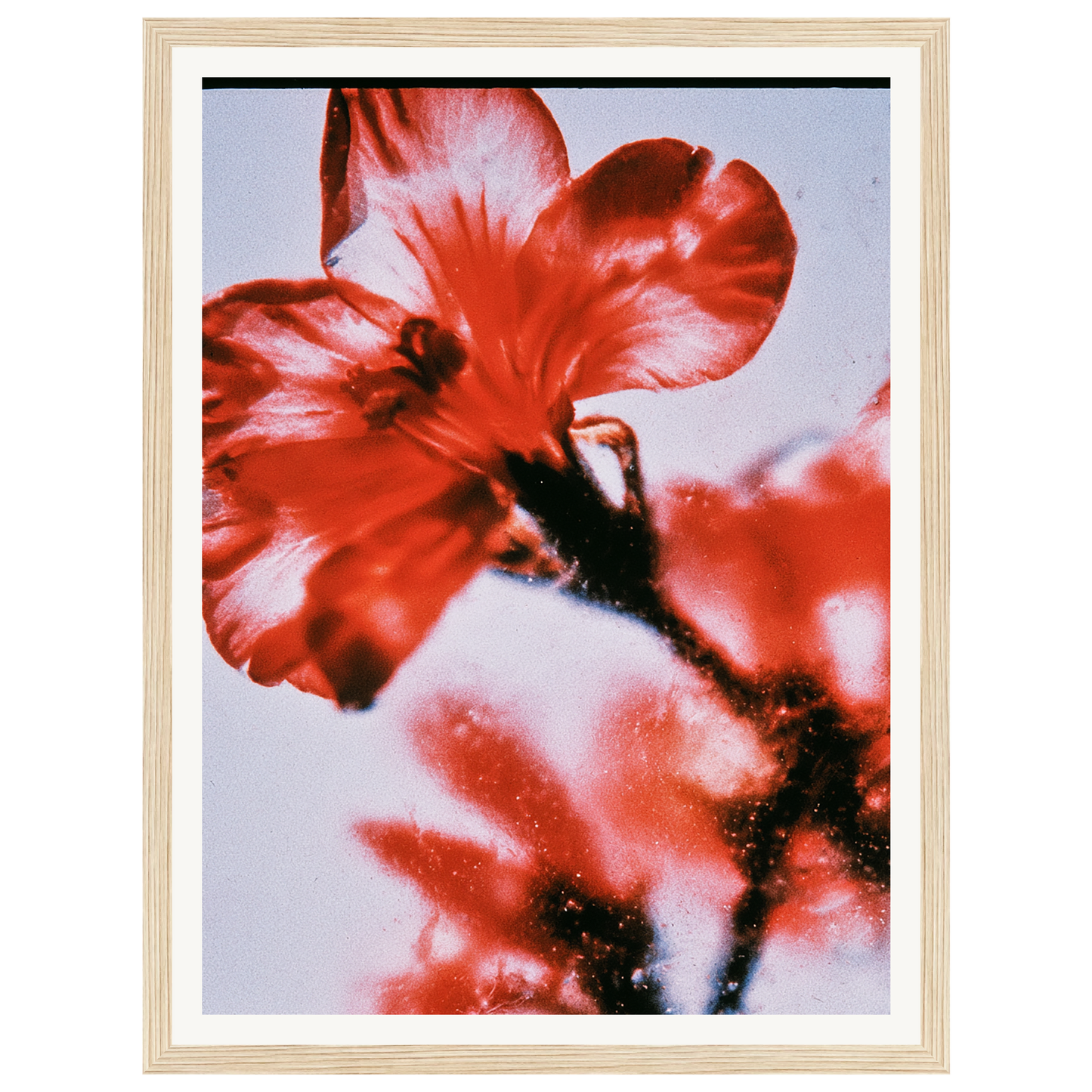 Wild Fire — s0_framed_wood