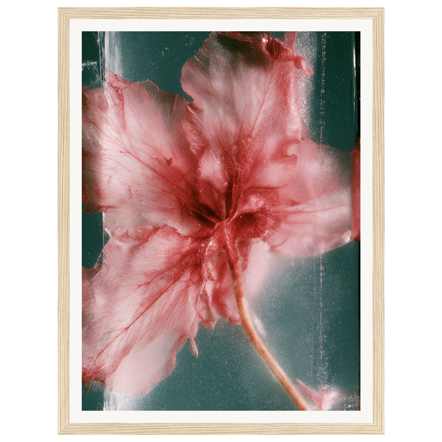 Wild Heart — s0_framed_wood