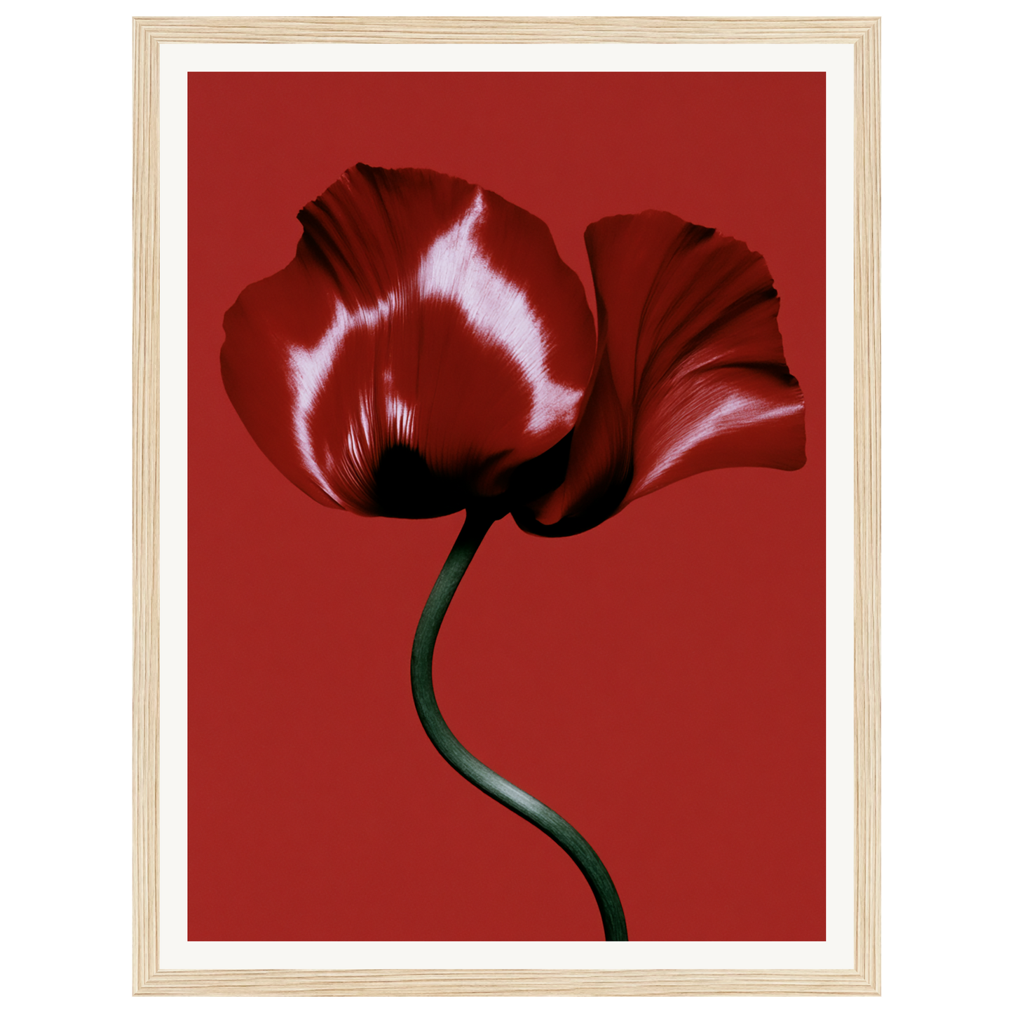 Velvet Poppy — s0_framed_wood