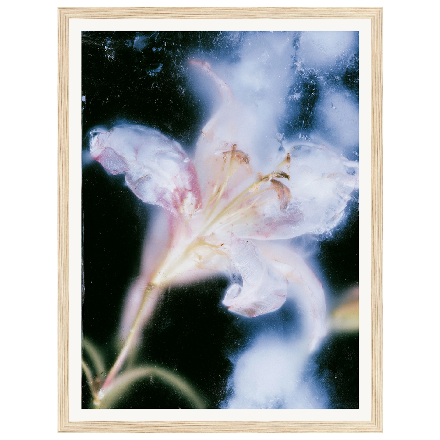Soft Light — s0_framed_wood