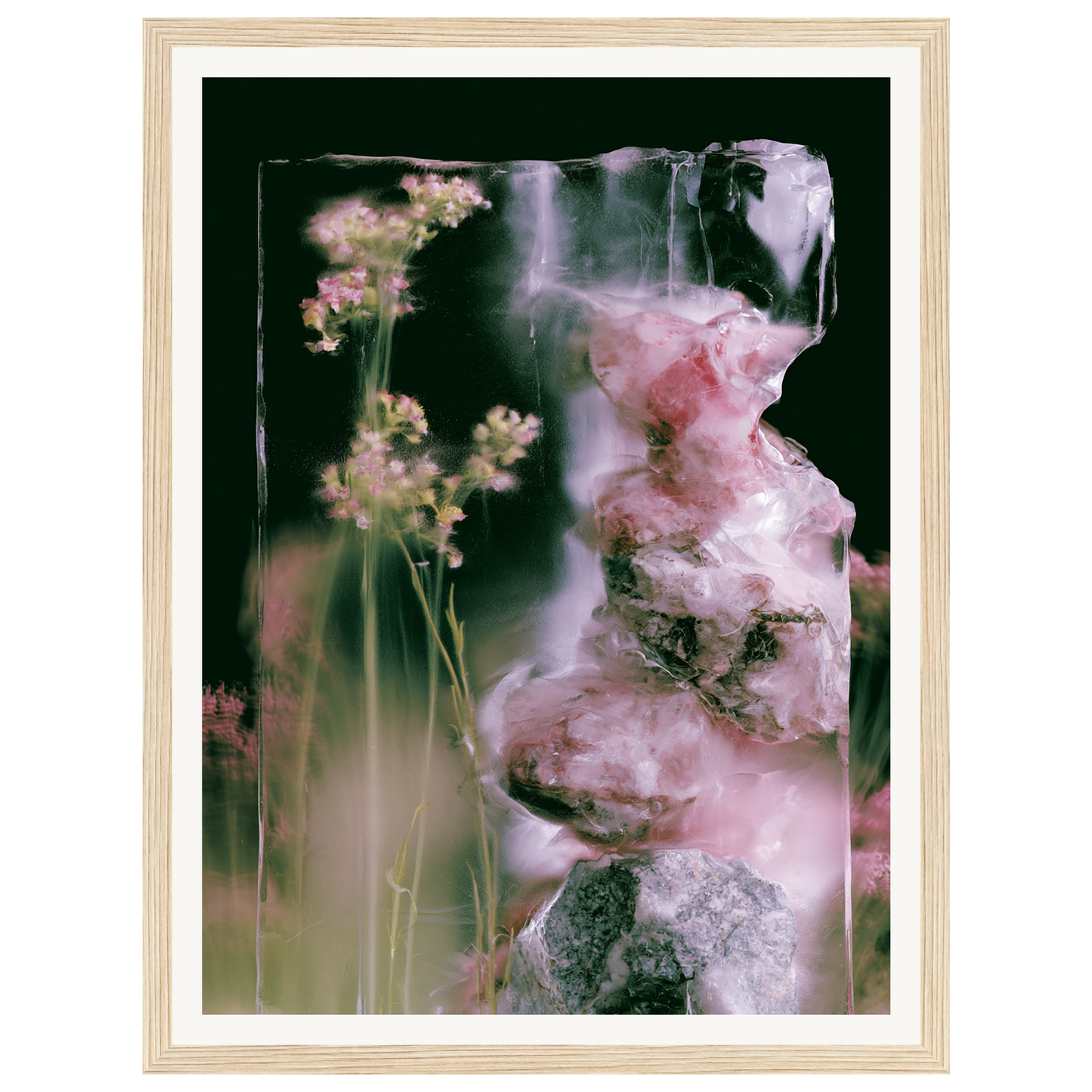 Frozen Whisper — s0_framed_wood
