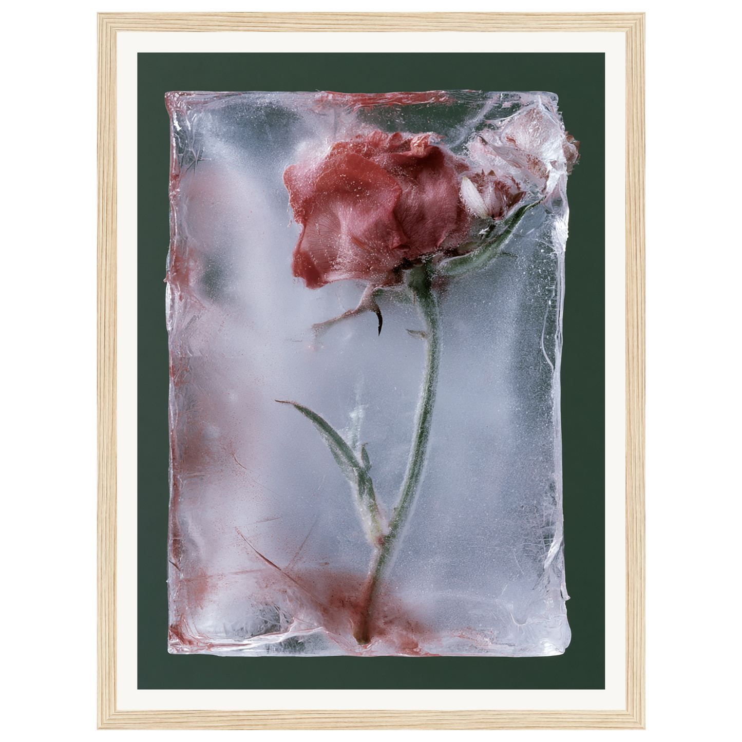 Last Bloom — s0_framed_wood