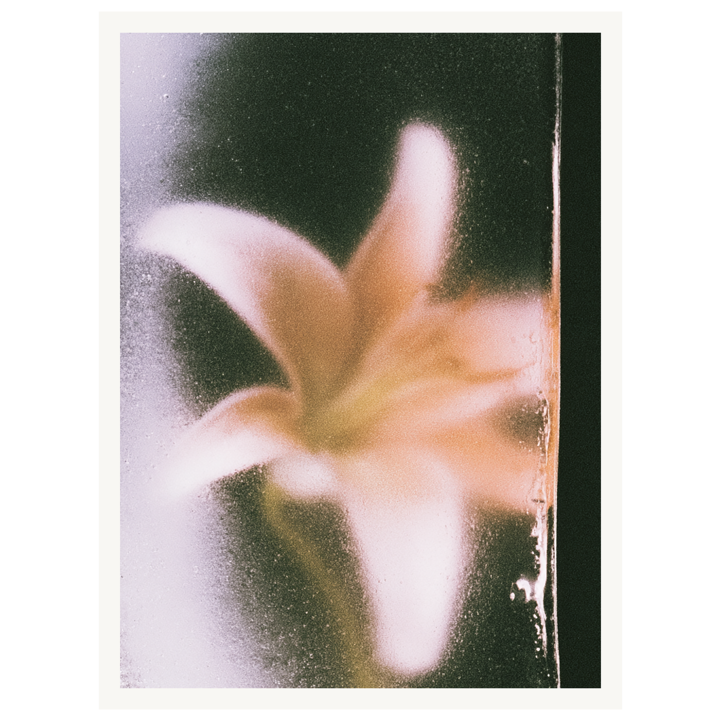 Golden Hour — s0_poster_none