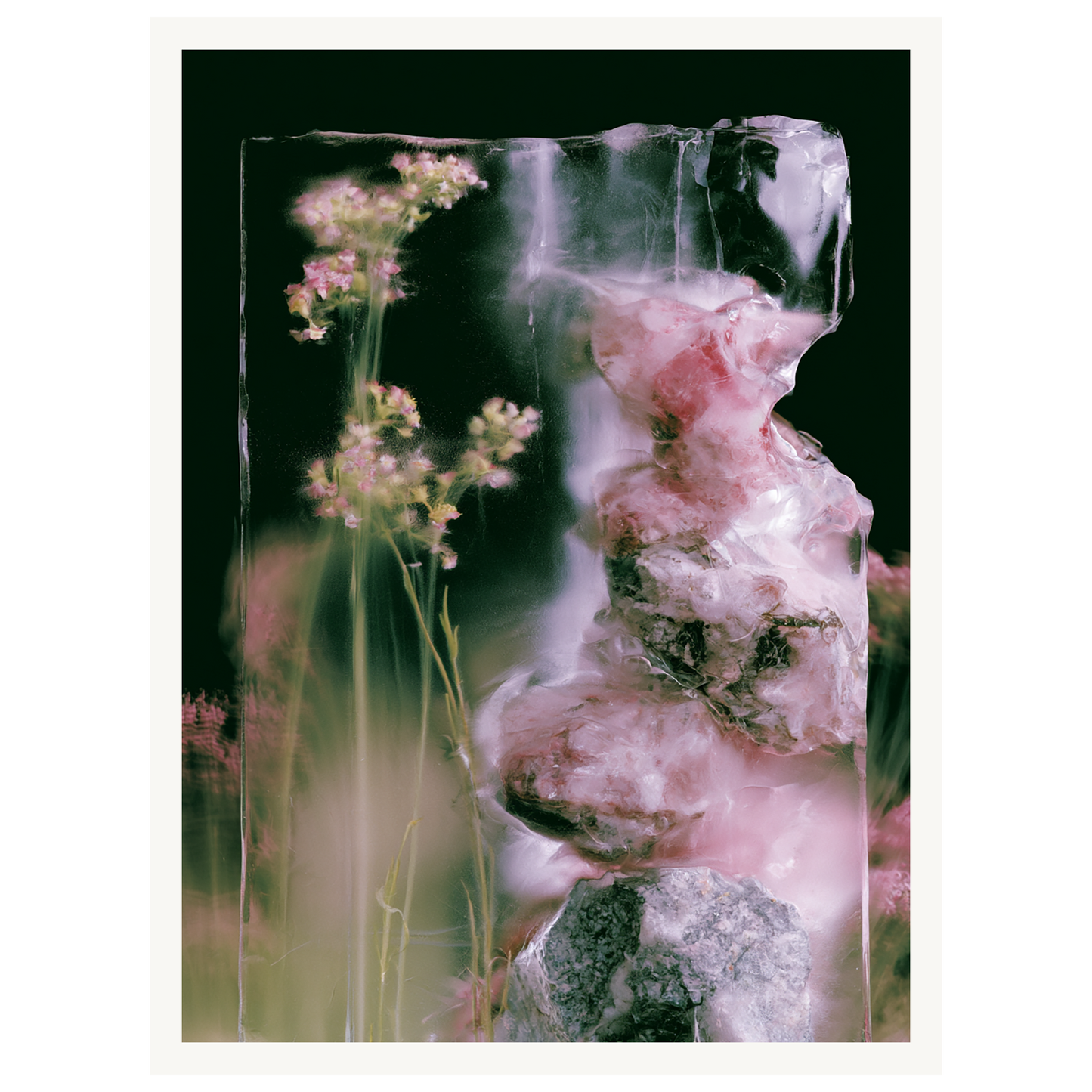 Frozen Whisper — s0_poster_none