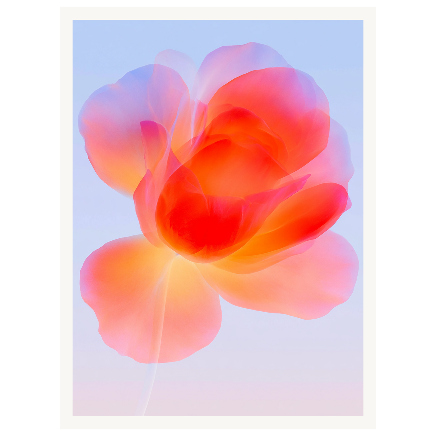 Gentle Bloom — s0_poster_none