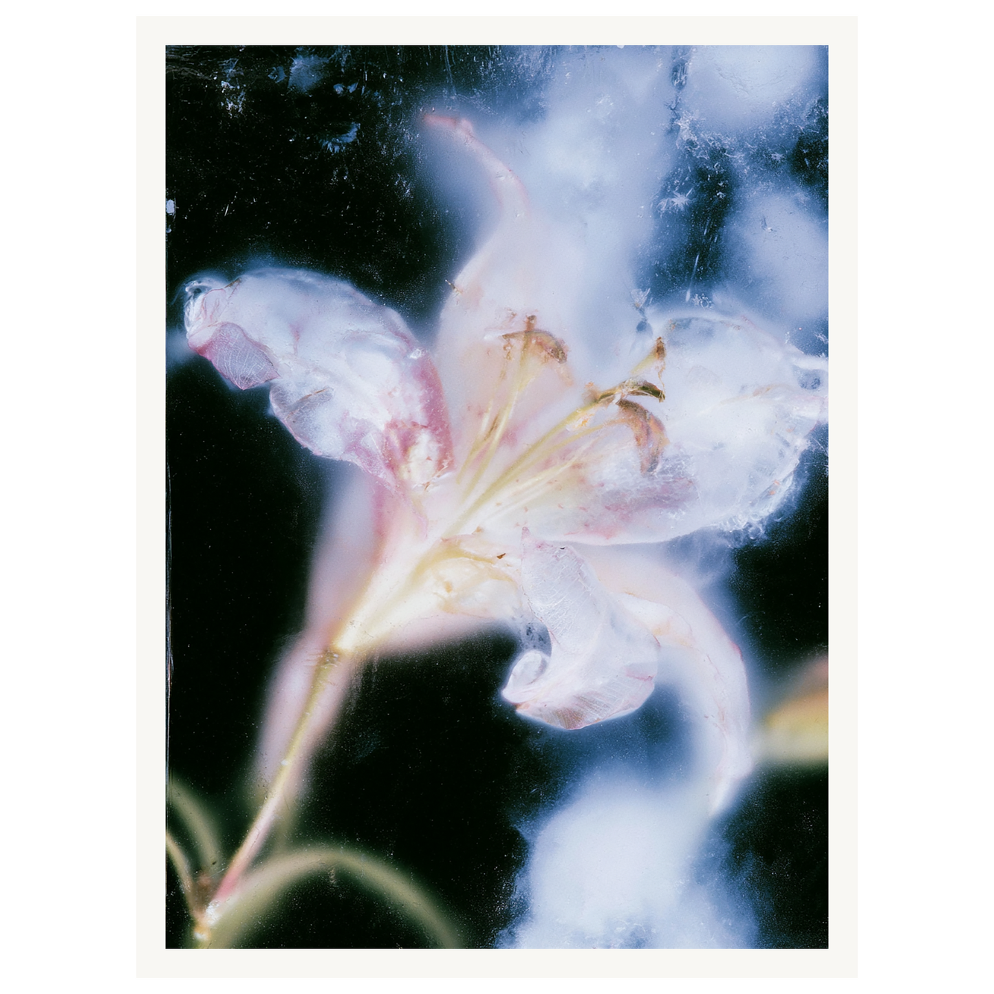 Soft Light — s0_poster_none